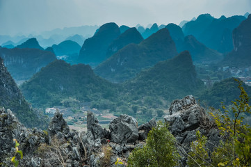 如何预防传染病手抄报内容