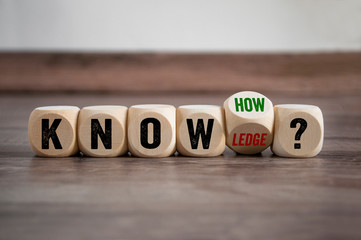 不同物种之间生物与环境之间的共同进化是形成生物多样性的原因