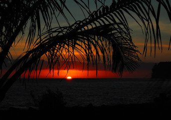 防溺水食品安全交通安全的手抄报 食品安全的手抄报