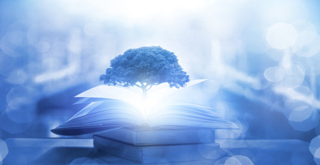 如何预防传染病手抄报内容