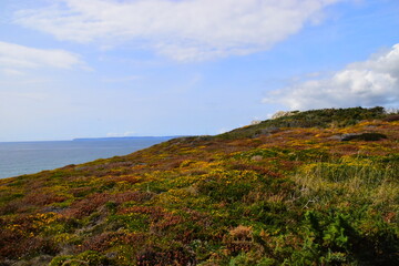 人类的起源地在哪里？