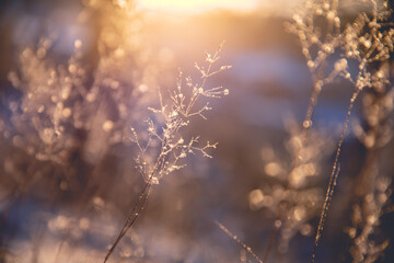 生活小百科的意思