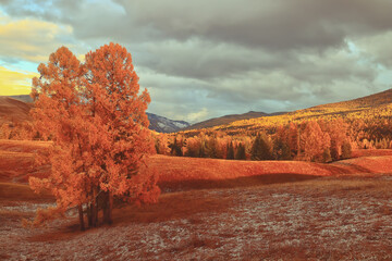 珍惜粮食主题班会