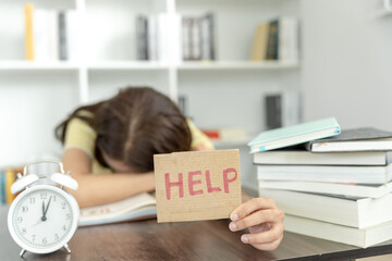 生活小百科的意思