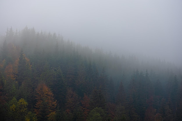 红色旅游的定义