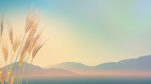 四年级下册课前三分钟演讲稿(根据本学期内容)