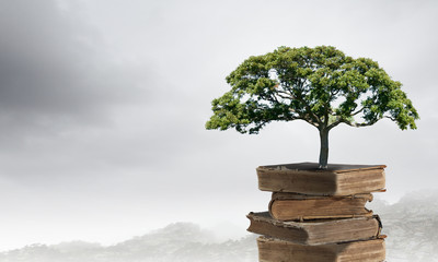 乾隆皇帝的儿子颙琰名字怎么读？