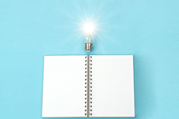 布偶猫容易得病吗？