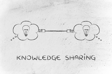 不同物种之间生物与环境之间的共同进化是形成生物多样性的原因