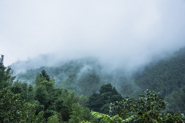 五上科学第三单元手抄报